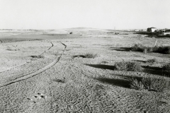 robert_adams_51