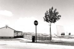 robert_adams_7