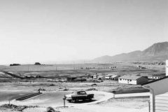 robert_adams_9