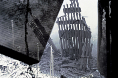 wtc7