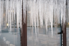 BegoAnton_winter-17-1024x815