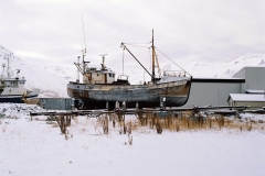 BegoAnton_winter-33-1024x815