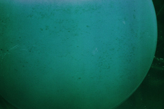 20-square-green