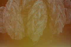 25-web