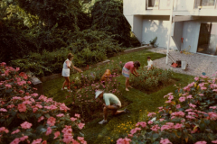 1982IntheGarden