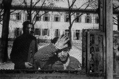 jpg_andre01-01_gardin