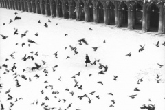 jpg_andrea1960-03_590-490