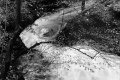 1462729_orig