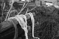1622932_orig