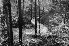 1873993_orig