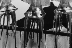 556249_orig