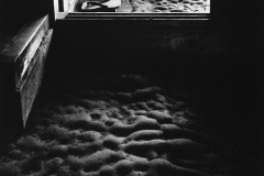 7095760_orig
