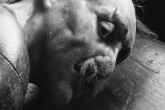 7932575_orig