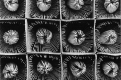 9963573_orig