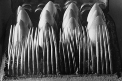 linda_butler_weston_gallery_Silverware_genova_liguria_weston_gallery