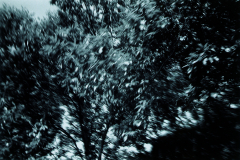 28971_114716858560408_4552813_n