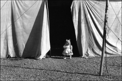 circo-4