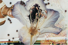 SGI-05-31-01-12