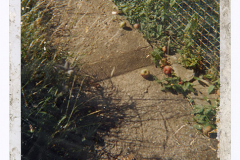 SGI0625_MasterBook_22