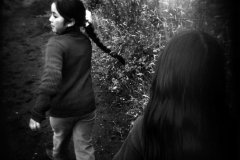 214829.xx_large