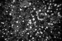 471602.story_x_large