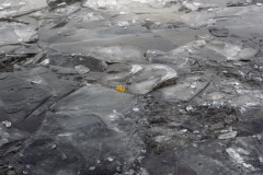 1_Siegfried-hansen_24