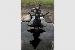 Herrington_Delta-del-Niger_25