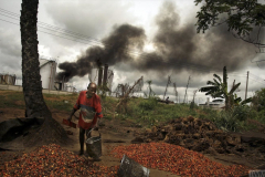 Herrington_Delta-del-Niger_27