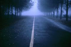 Captura-de-pantalla-2021-05-08-a-las-7.16.03