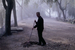 Captura-de-pantalla-2021-05-08-a-las-7.27.04