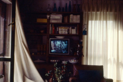 Captura-de-pantalla-2021-05-08-a-las-7.35.39