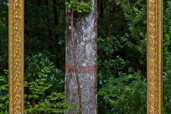 2013_Gold-Frame-and-Tree