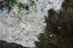2015_Tent-Camera-Image-on-Ground-View-of-the-Seine-River-Giverny-France