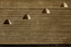 Four-Thumb-Indexes_2011