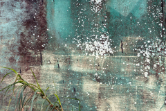 image-asset-8