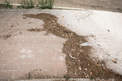 Sembolini_Francesco_32