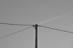Sembolini_Francesco_53