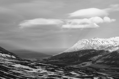 1020226_3000_3000