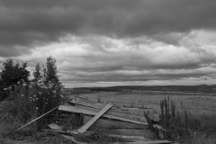 1020229_3000_3000