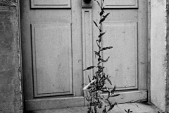 Captura-de-pantalla-2023-03-03-a-las-9.15.29